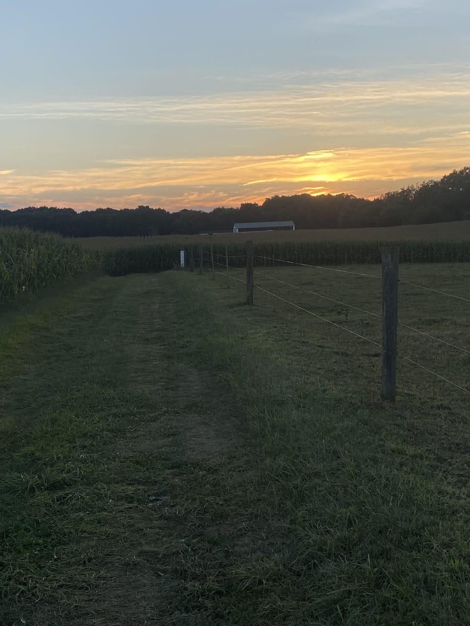 Welcome to the Country