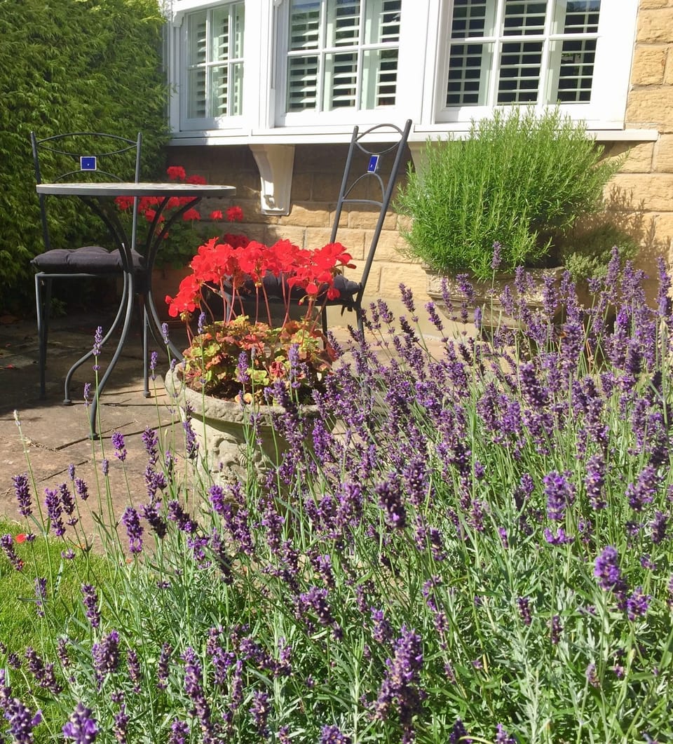 Morning patio - great for breakfast