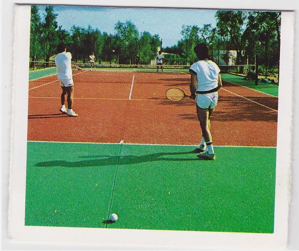 Sport court