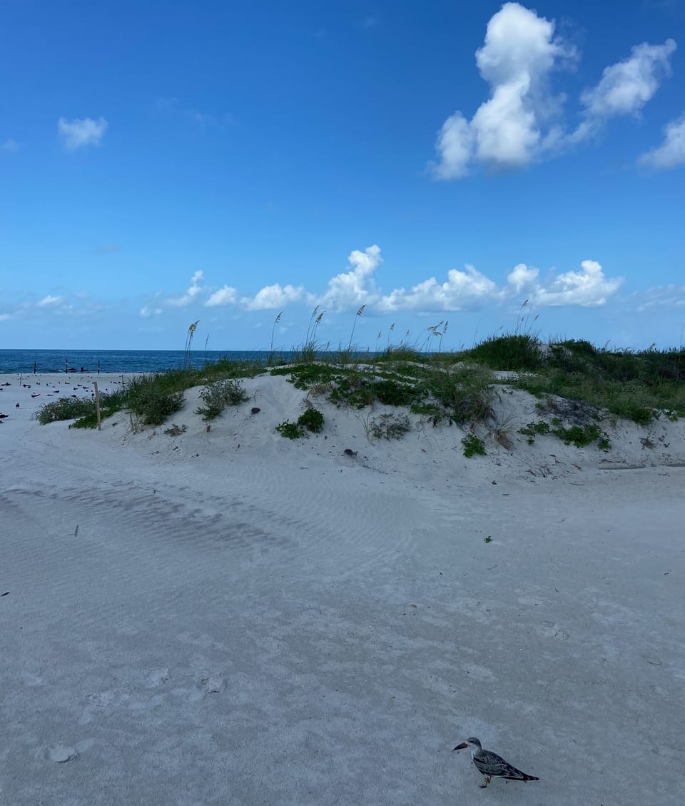 Beach