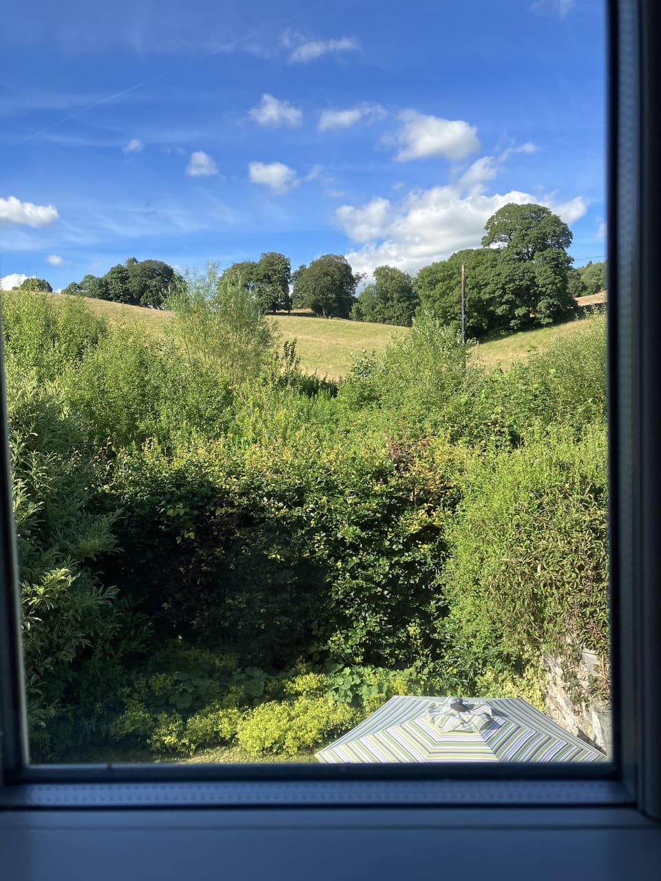 View from bed 2