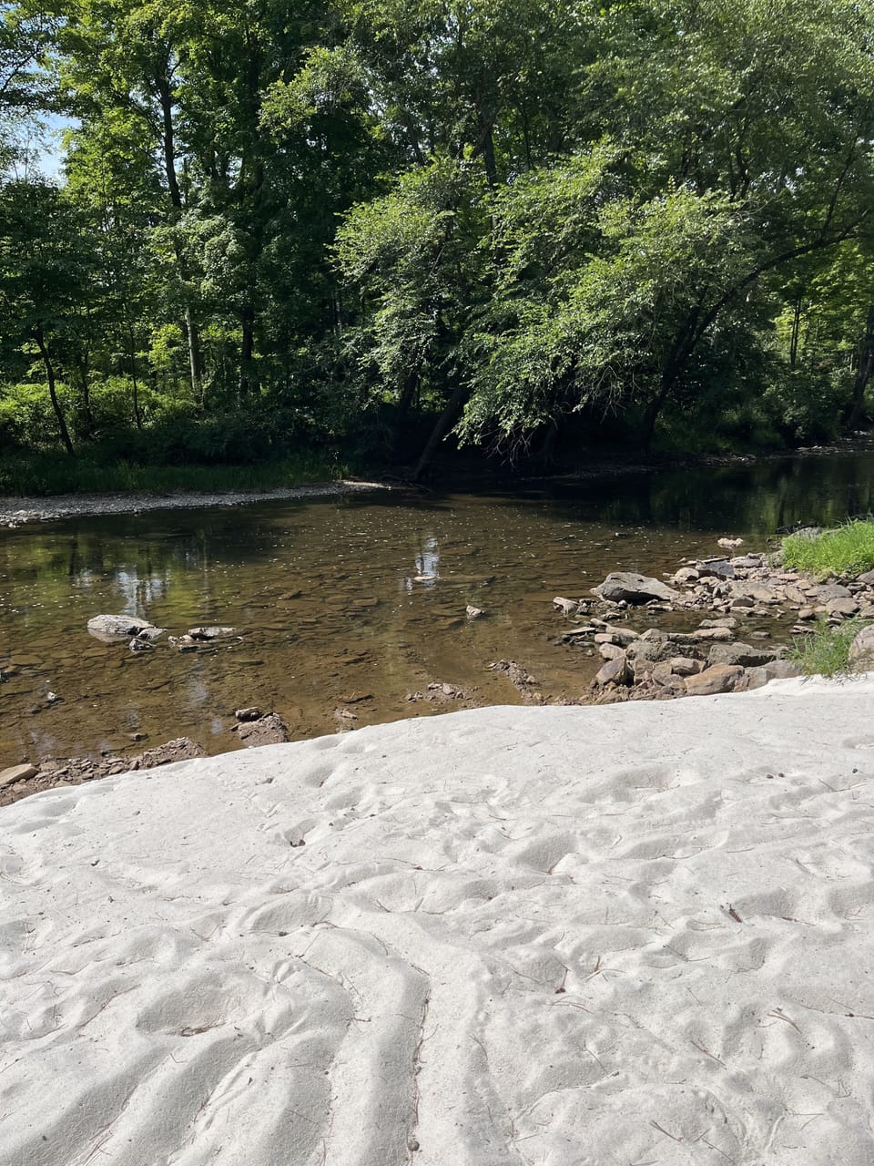 Beach area 