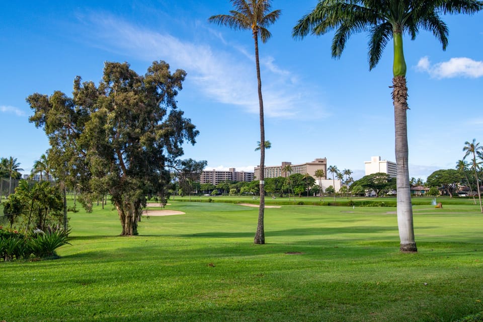 Well-maintained grass