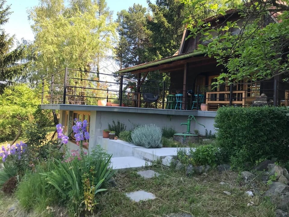Image 13