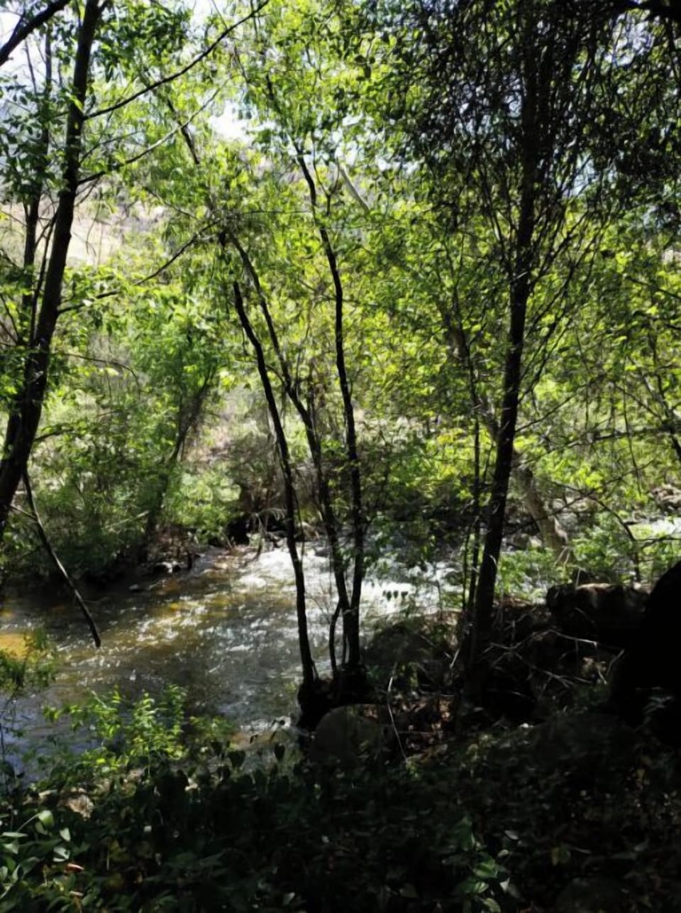 Your own Beautiful Private River behind the house