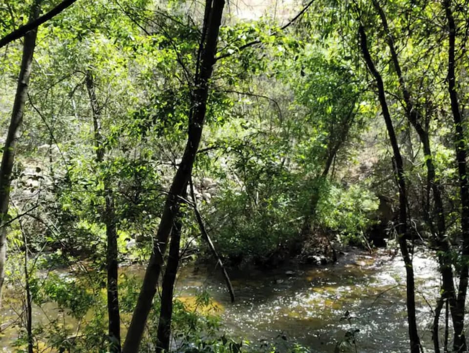 Beautiful River behind the house