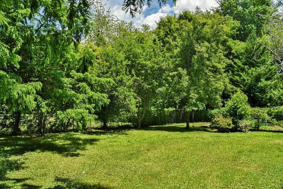 Fully fenced back yard... perfect for your pups!