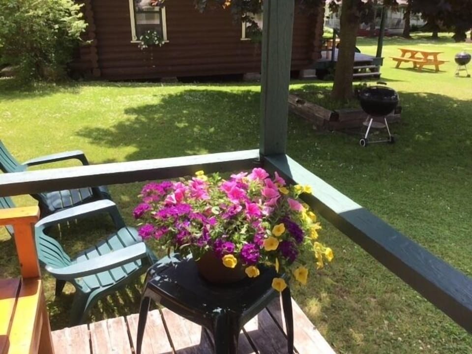 View from the porch from No. 8 Cabin