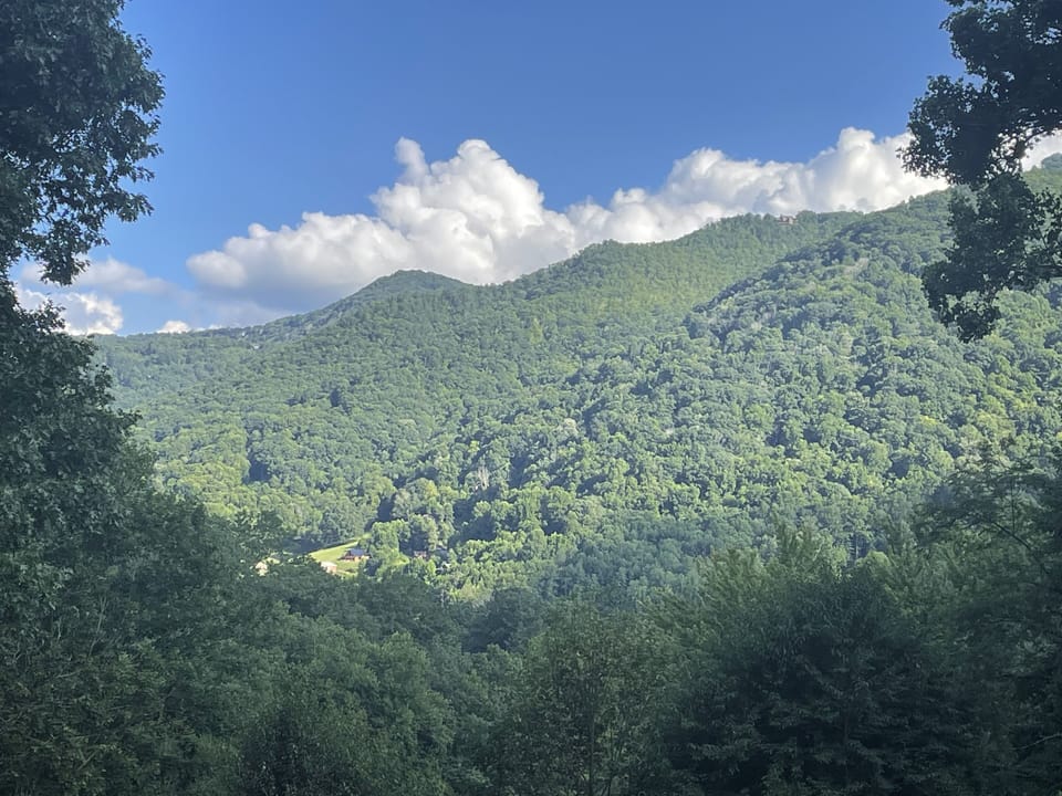 Amazing views from the front decks. 