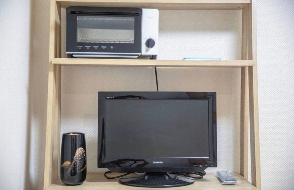 Television