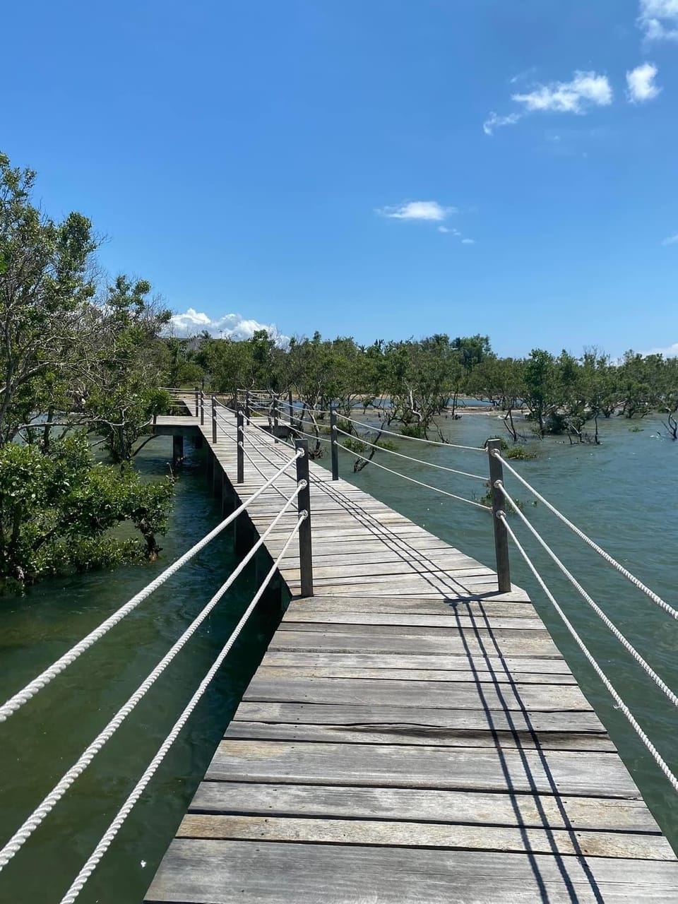  Boardwalk
