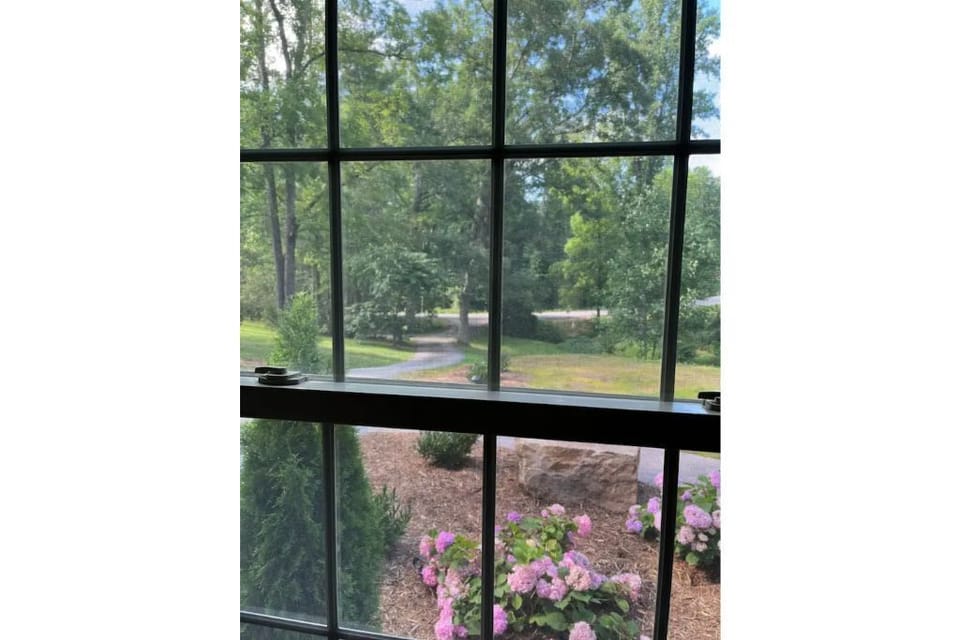 Front drive from front windows