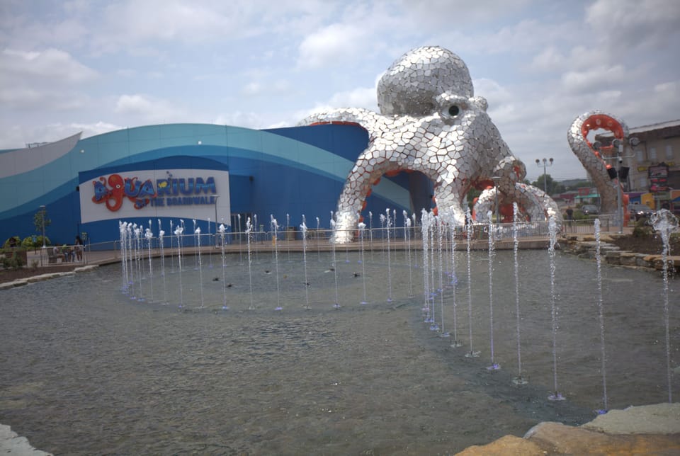 Fun places to visit!