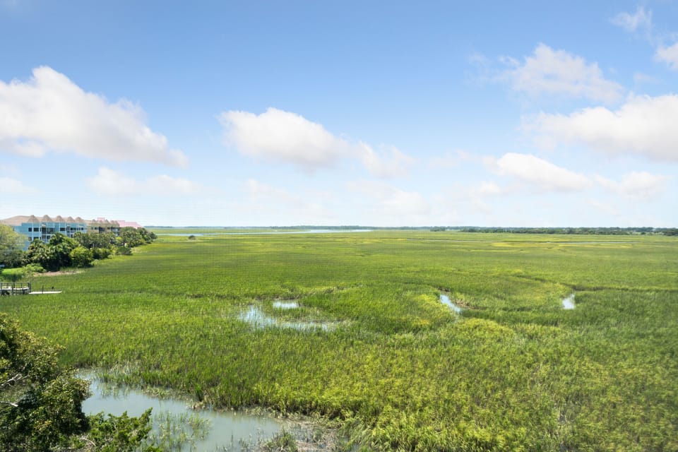 Lowcountry, Wide Open Views