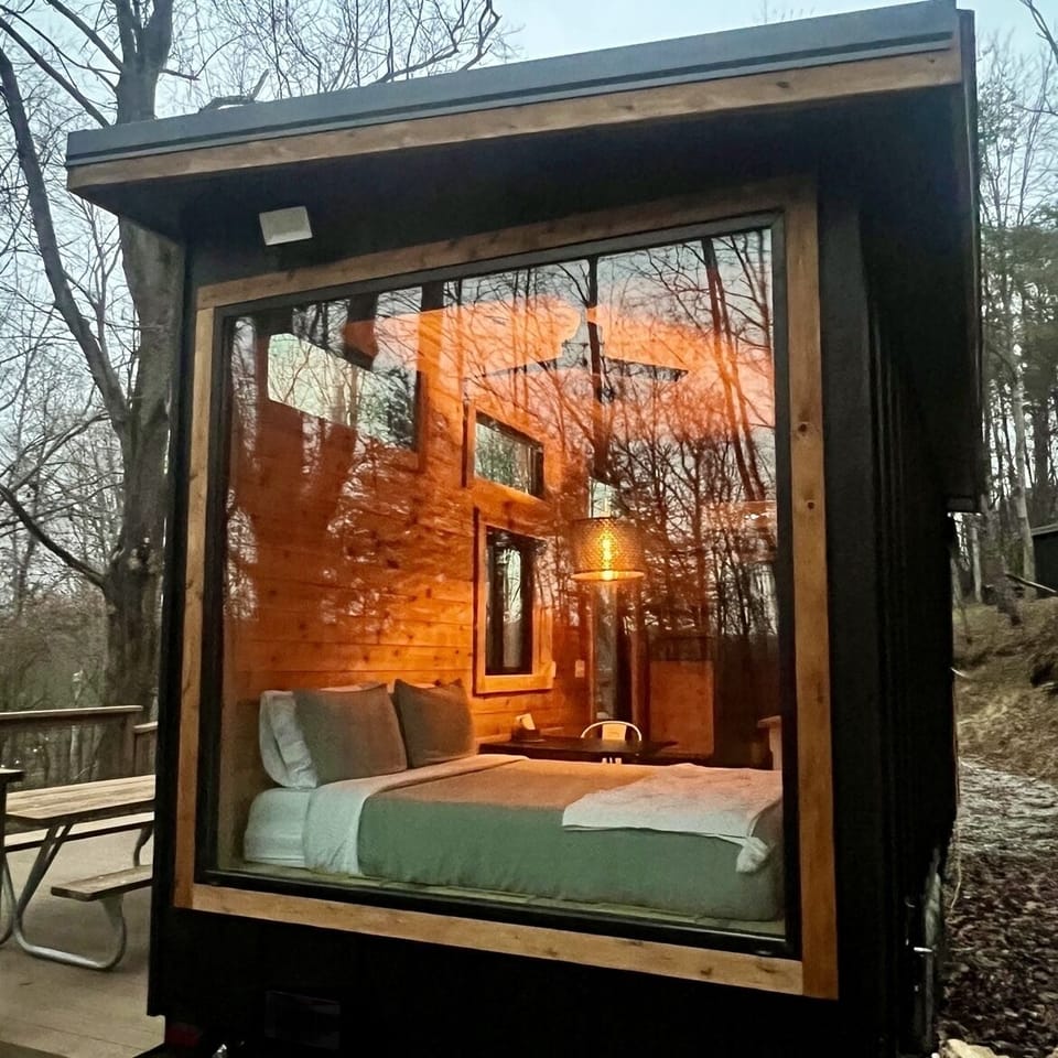 We imagine that the wildlife enjoy watching our guests in their "cage"!