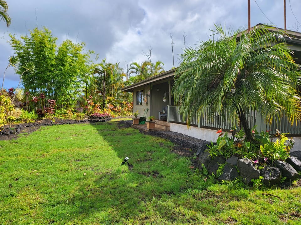 House backyard