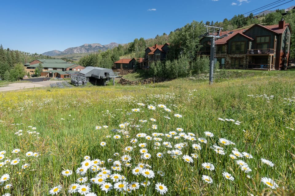 8.0-sunshine-at-terraces-telluride-vacation-rental-ski-run2