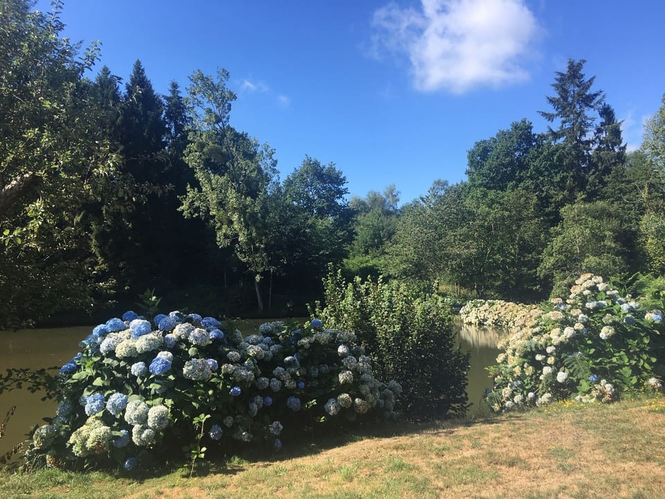 Image 29