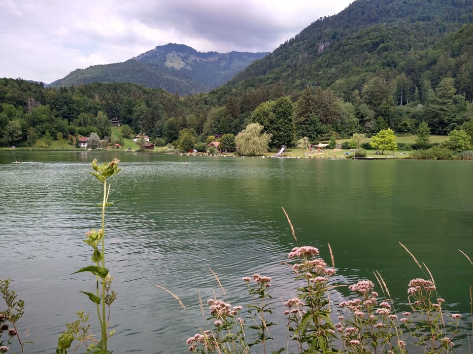 Lake