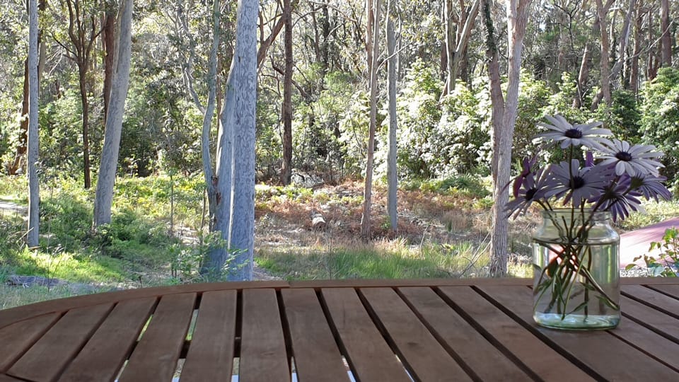View from the deck 