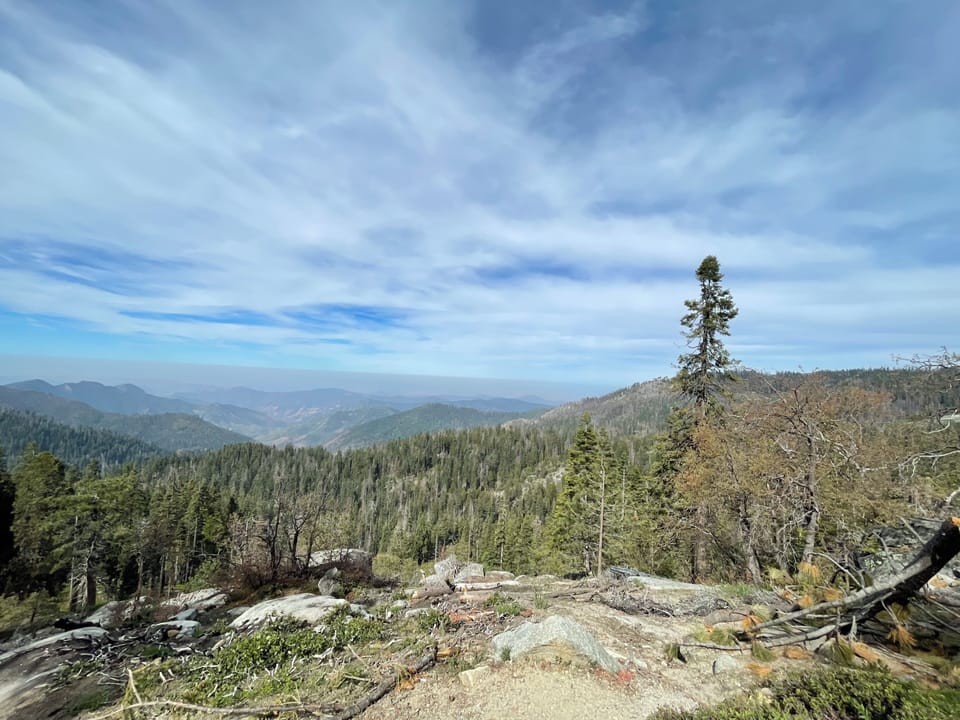 Expansive mountain and forest view under a dramatic sky