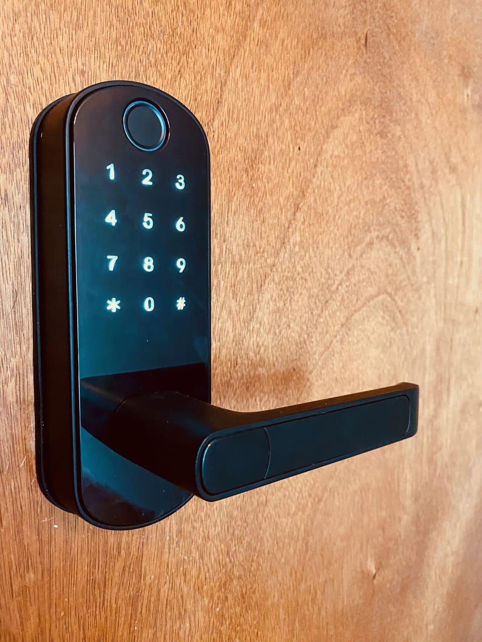 Electronic keypad to enter basement door