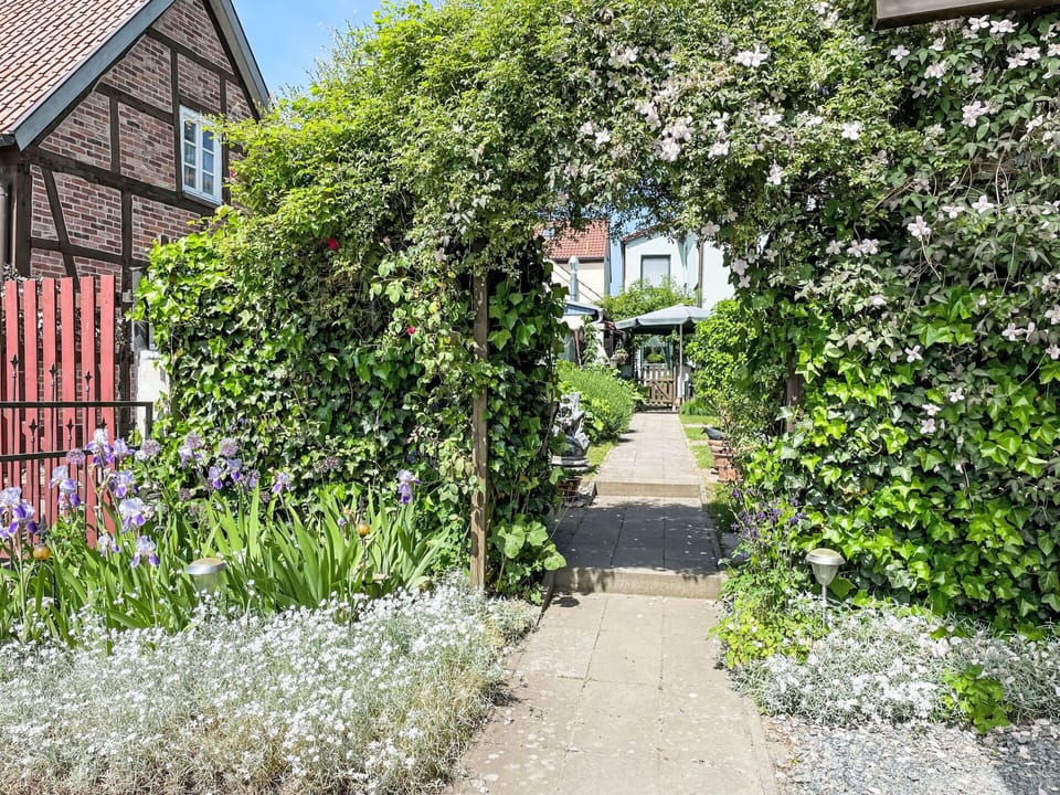 Plant, Building, Vegetation, Road Surface, Shrub, Grass, Window, Groundcover, Real Estate, Summer