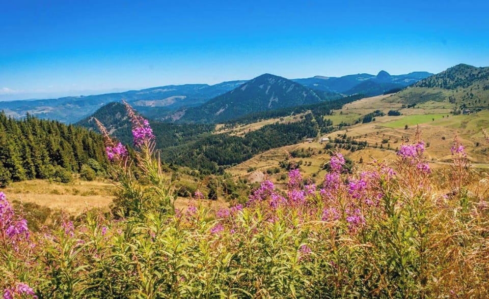 Mountain view