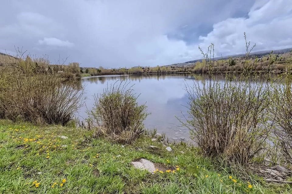A calm lake surrounded by green vegetation and wildflowers, under a cloudy sky. Hills are visible in the background.