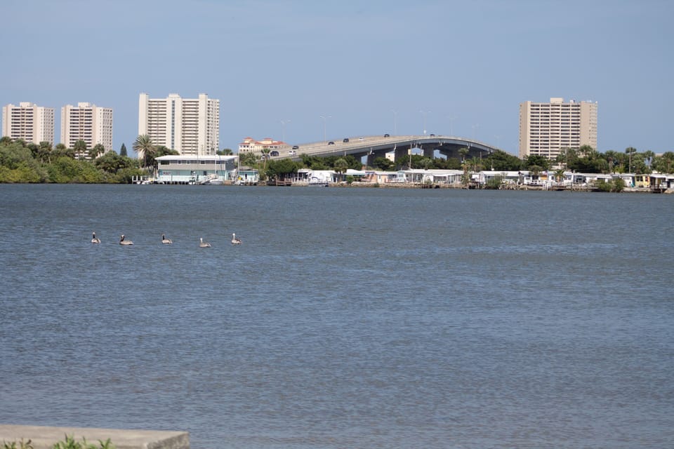 Your direct beach access is just over this bridge.