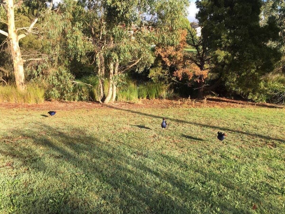 park