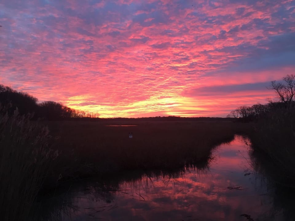 Our neighboring creek at dawn.
