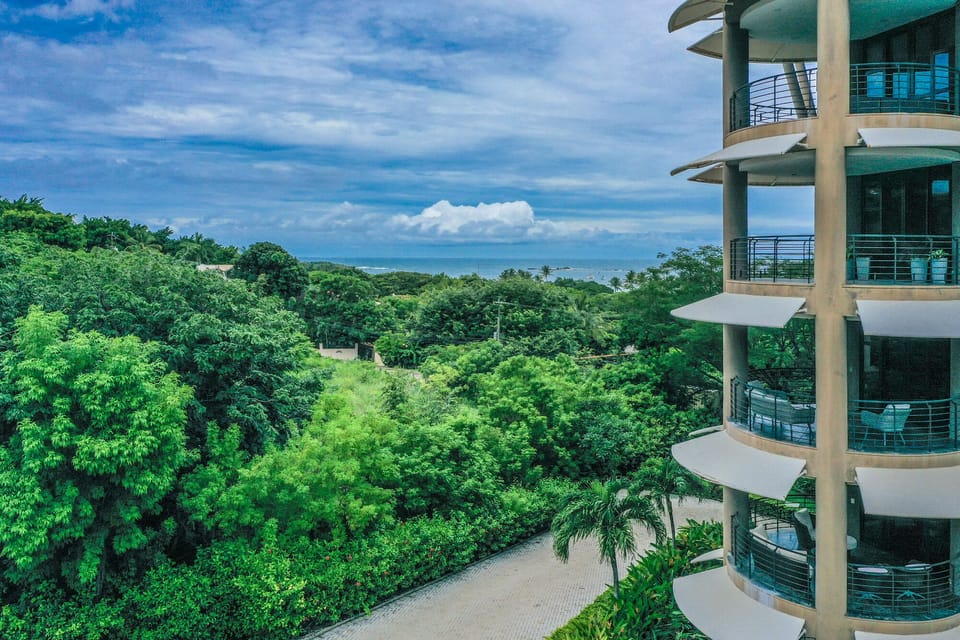 Jungles views from your terrace