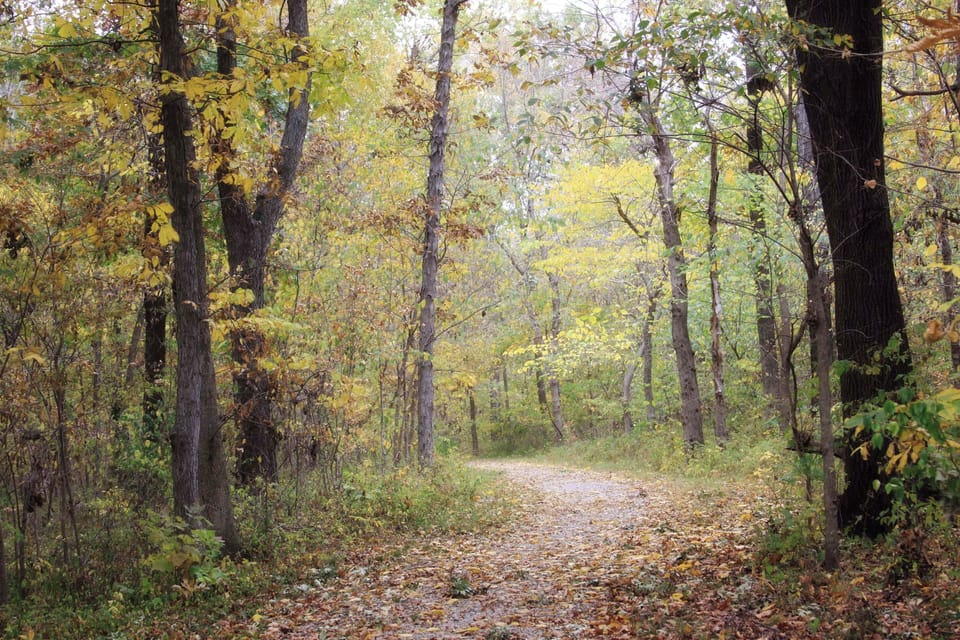 Wander quiet wooded paths and breathe in crisp fresh air.