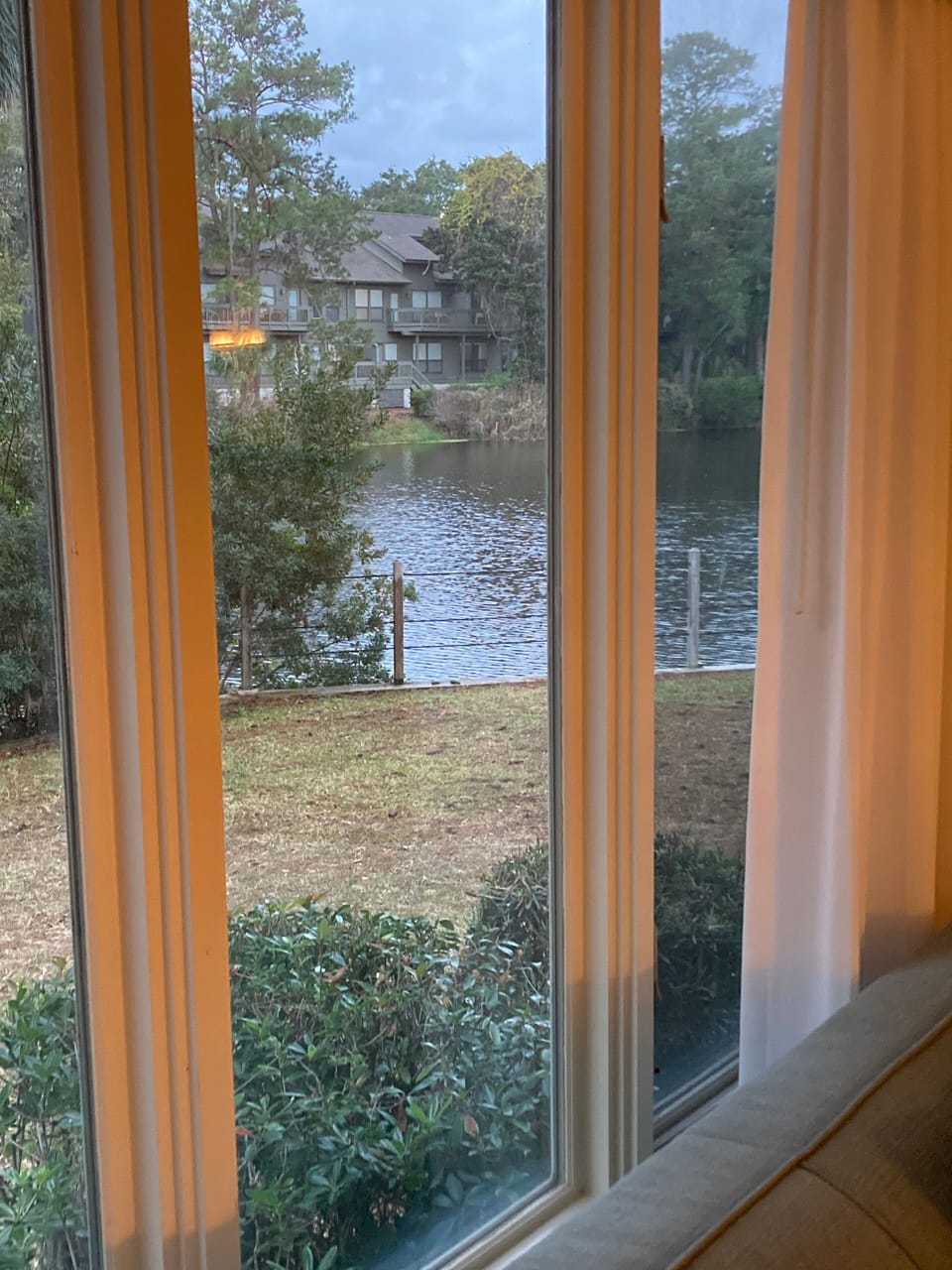 Backyard View