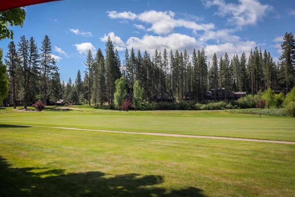 Golf among the pines