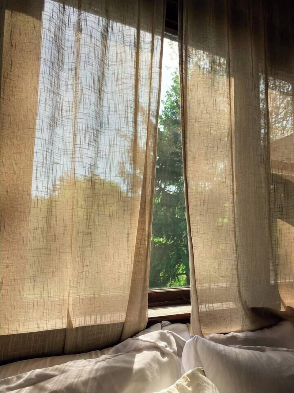 Wake up to the beautiful nature views! 
