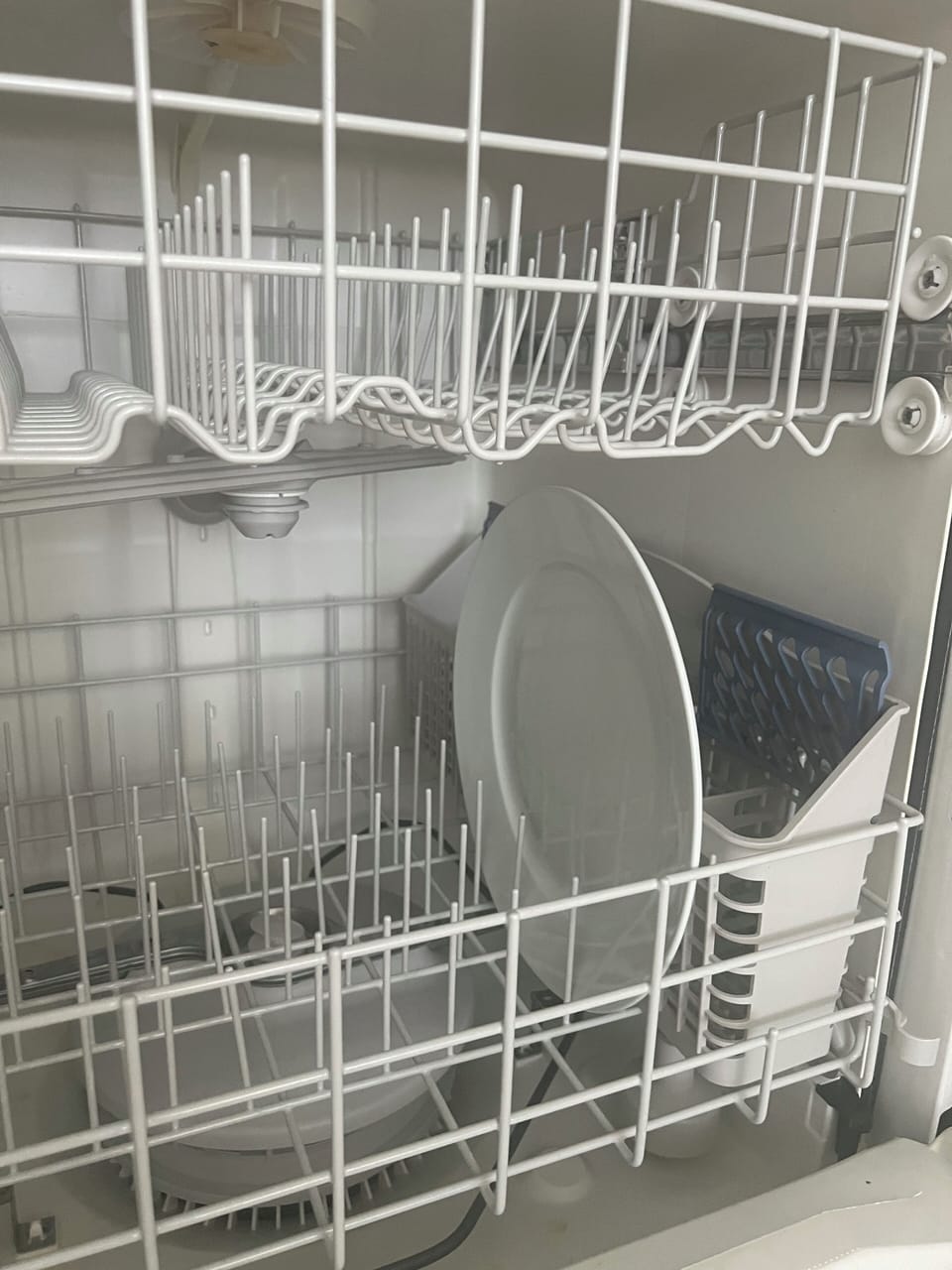 Dinner plates in dishwasher 