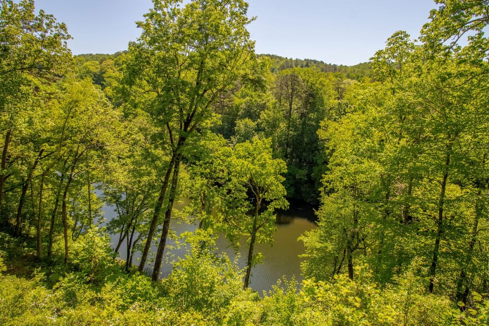 Oconaluftee River view from property.