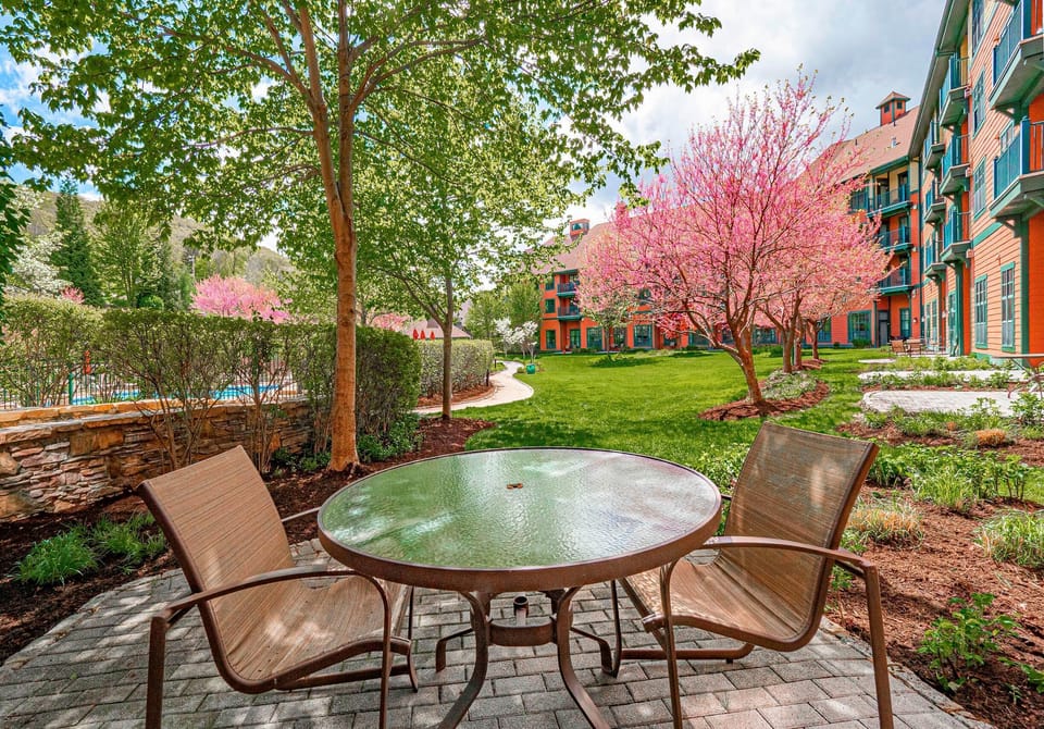 Outdoor patio with views of nature