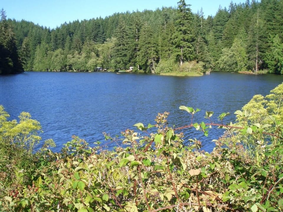 Soak up sweeping water views framed by evergreen forest serenity.