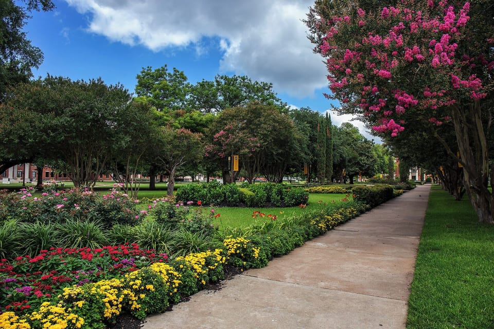 Stroll along vibrant gardens and enjoy a calm, scenic walk.