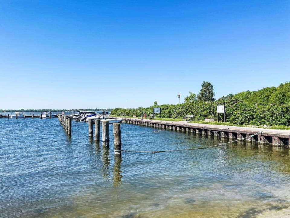 Water, Sky, Water Resources, Lake, Tree, Bank, Horizon, Waterway, Wood