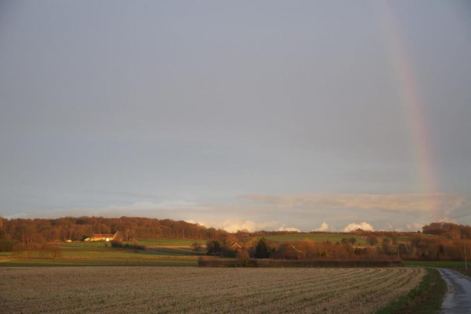 Region [summer] (>5 km)