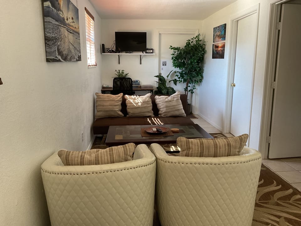 Living room includes a twin futon sofa bed.