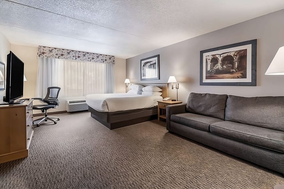 Unwind in a spacious studio with sofa and plush bed.