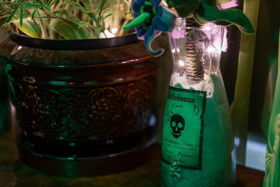 Baneful and benevolent herbs - the natural magic of Witch City