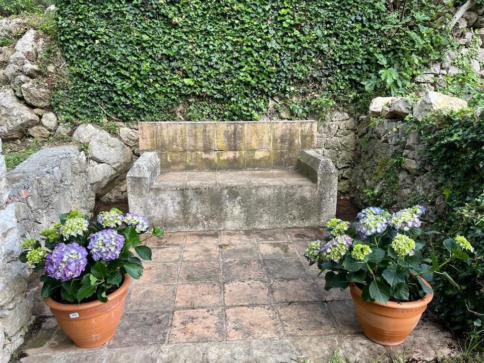 Outdoor bench in garden