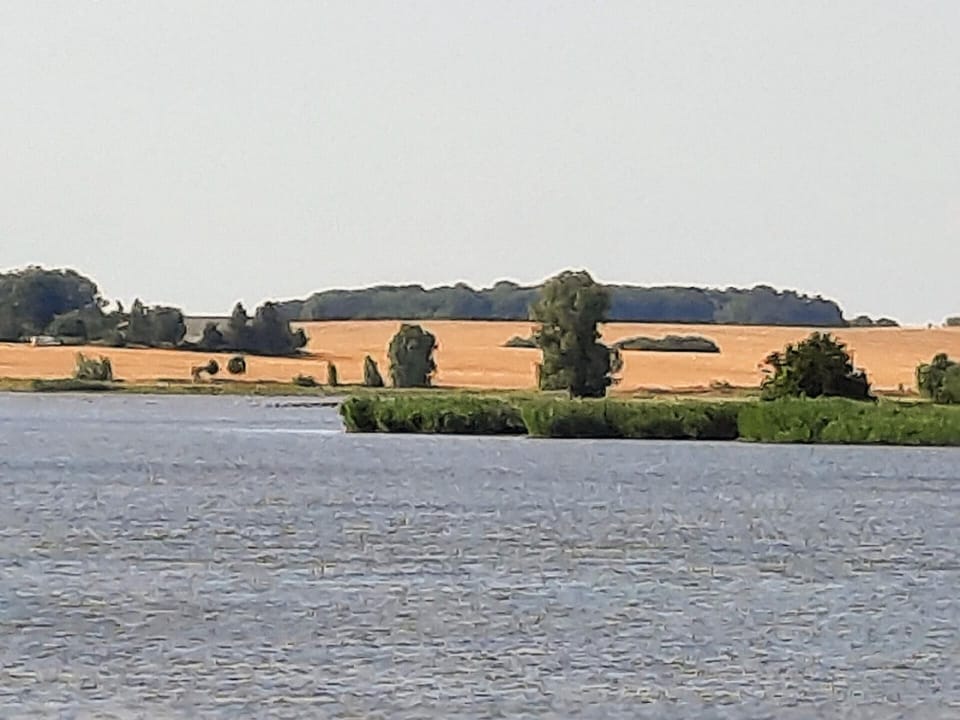 Area that directly surrounds the property