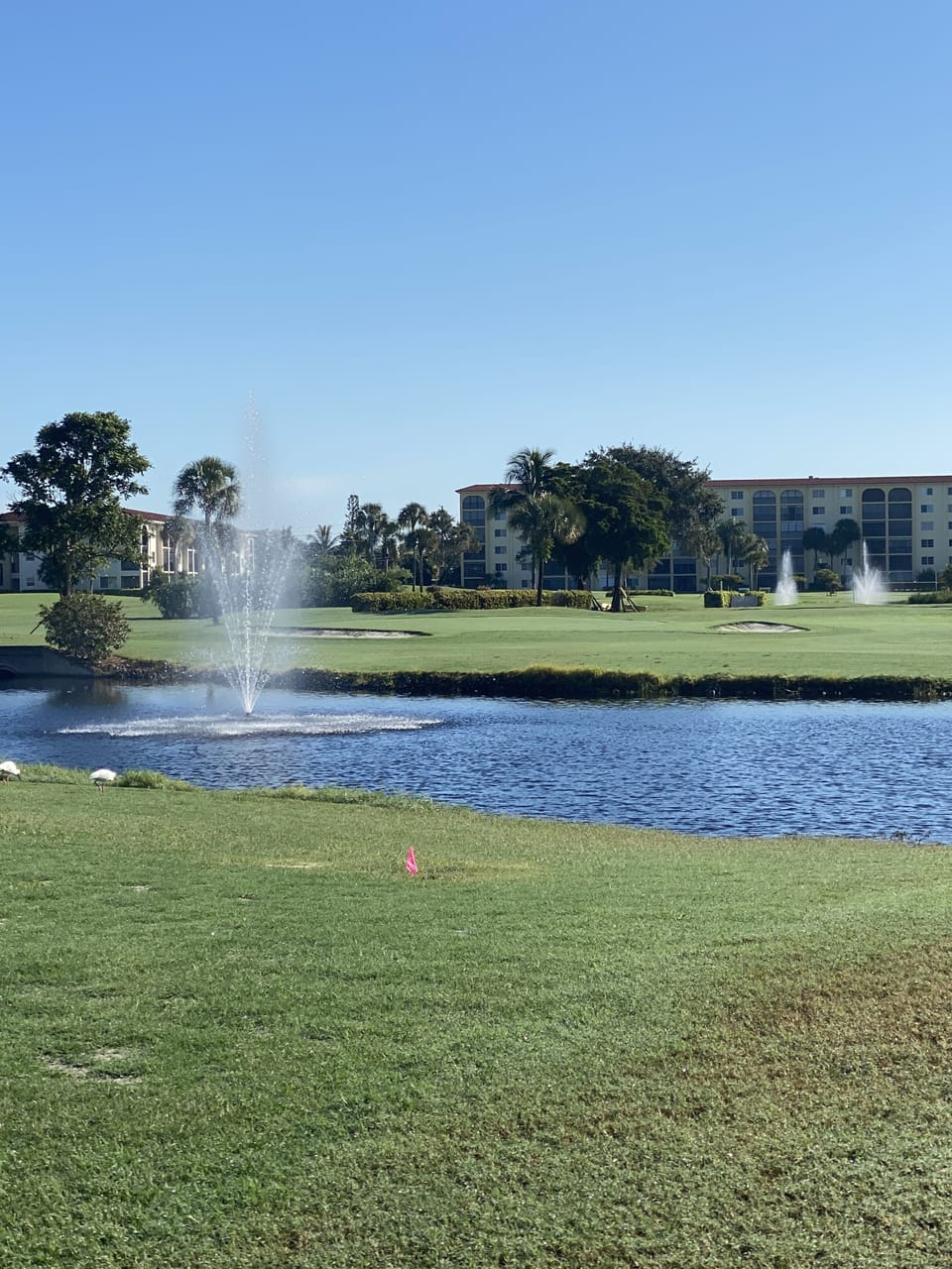 Golf course 